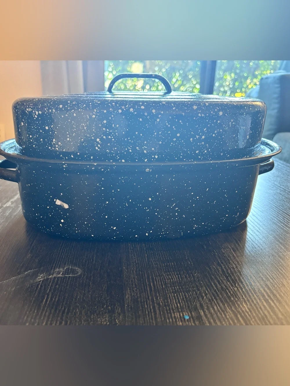 Speckled Dark Blue Covered Roaster - Enamel Bakeware